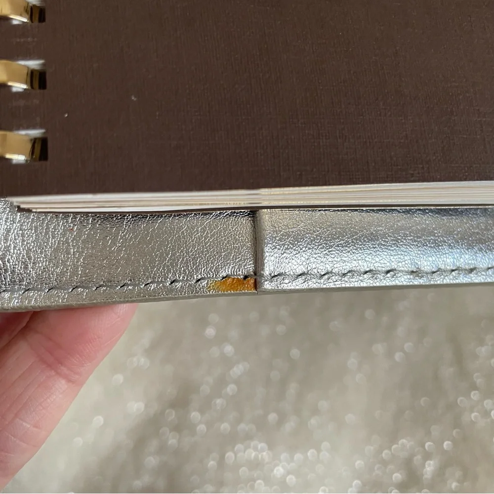 Louis Vuitton 2013 Suhali Partenaire PM Agenda Leather Journal Cover w/ Insert ✨